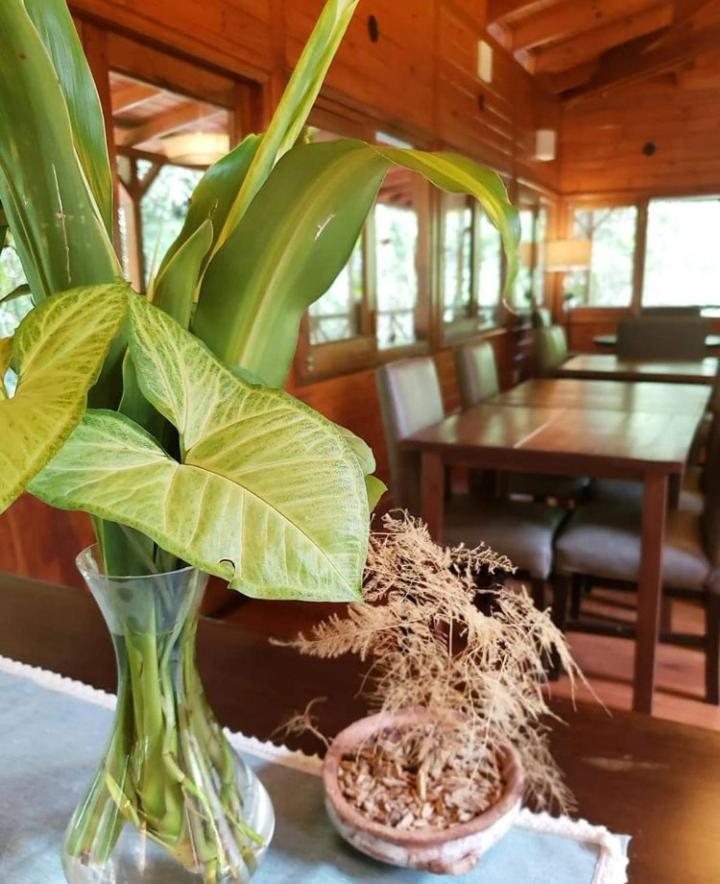 Selva De Laurel Hotel 4*