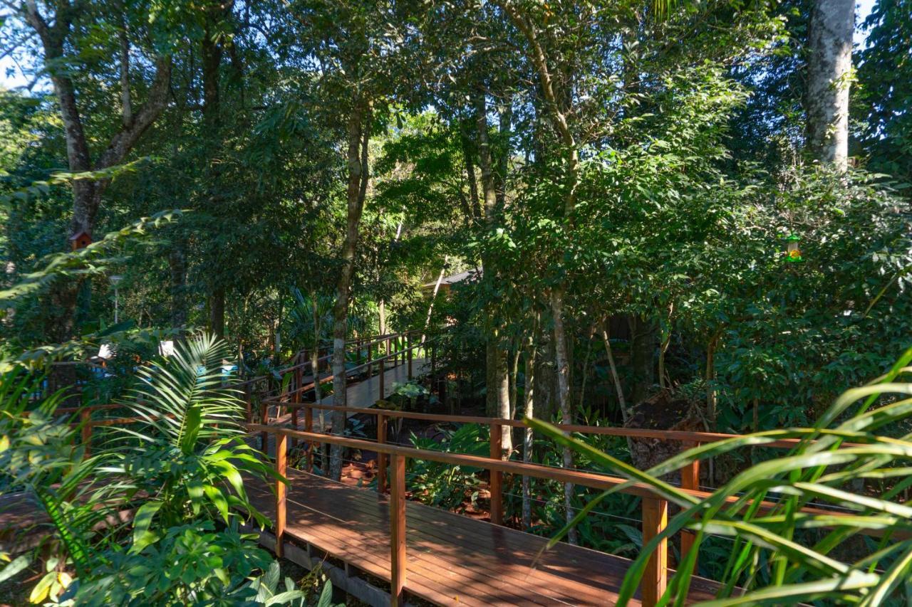 Selva De Laurel
