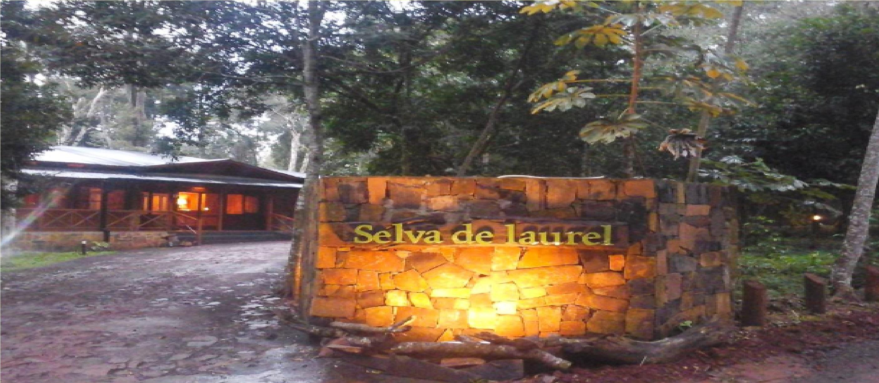 Selva De Laurel